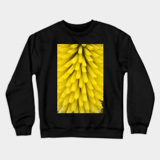 Gloriously Yellow Crewneck Sweatshirt